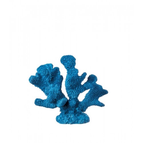 Corallo blu